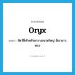 oryx แปลว่า?, คำศัพท์ภาษาอังกฤษ oryx แปลว่า สัตว์สี่เท้าคล้ายกวางขนาดใหญ่ มีเขายาวตรง ประเภท N หมวด N