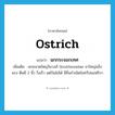 ostrich แปลว่า?, คำศัพท์ภาษาอังกฤษ ostrich แปลว่า นกกระจอกเทศ ประเภท N เพิ่มเติม นกขนาดใหญ่ในวงศ์ Struthionidae ขาใหญ่แข็งแรง ตีนมี 2 นิ้ว วิ่งเร็ว แต่บินไม่ได้ มีถิ่นกำเนิดในทวีปแอฟริกา หมวด N