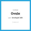 ovule แปลว่า?, คำศัพท์ภาษาอังกฤษ ovule แปลว่า ไข่ภายในถุงไข่, ไข่เล็ก ประเภท N หมวด N