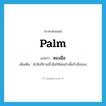 palm แปลว่า?, คำศัพท์ภาษาอังกฤษ palm แปลว่า ซองมือ ประเภท N เพิ่มเติม ฝ่ามือที่รวมนิ้วมือให้ห่อเข้าเพื่อรับสิ่งของ หมวด N