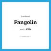 pangolin แปลว่า?, คำศัพท์ภาษาอังกฤษ pangolin แปลว่า ตัวนิ่ม ประเภท N หมวด N