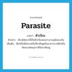 parasite แปลว่า?, คำศัพท์ภาษาอังกฤษ parasite แปลว่า ตัวเบียน ประเภท N ตัวอย่าง เห็บหมัดพวกนี้เป็นตัวเบียนคอยรบกวนสุนัขของฉัน เพิ่มเติม สัตว์หรือพืชขนาดเล็กที่อาศัยดูดกินอาหารจากสัตว์หรือพืชขนาดใหญ่กว่าที่มันอาศัยอยู่ หมวด N