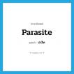 parasite แปลว่า?, คำศัพท์ภาษาอังกฤษ parasite แปลว่า ปรสิต ประเภท N หมวด N