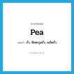 pea แปลว่า?, คำศัพท์ภาษาอังกฤษ pea แปลว่า ถั่ว, พืชตะกูลถั่ว, เมล็ดถั่ว ประเภท N หมวด N