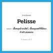 pelisse แปลว่า?, คำศัพท์ภาษาอังกฤษ pelisse แปลว่า เสื้อคลุมผ้าขนสัตว์, เสื้อคลุมสตรีที่มีช่องสำหรับสอดแขน ประเภท N หมวด N