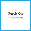 perch on แปลว่า?, คำศัพท์ภาษาอังกฤษ perch on แปลว่า เกาะบน, พักอยู่บนที่สูง ประเภท PHRV หมวด PHRV