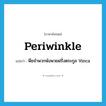 periwinkle แปลว่า?, คำศัพท์ภาษาอังกฤษ periwinkle แปลว่า พืชจำพวกพังพวยฝรั่งตระกูล Vinca ประเภท N หมวด N