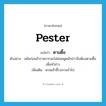 pester แปลว่า?, คำศัพท์ภาษาอังกฤษ pester แปลว่า ตามตื๊อ ประเภท V ตัวอย่าง สมัยก่อนข้าราชการจะไม่ค่อยพูดนักข่าวจึงต้องตามตื๊อเพื่อทำข่าว เพิ่มเติม ตามเซ้าซี้รบกวนร่ำไป หมวด V