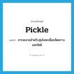 pickle แปลว่า?, คำศัพท์ภาษาอังกฤษ pickle แปลว่า สารละลายสำหรับจุ่มโลหะเพื่อขจัดคราบออกไซด์ ประเภท N หมวด N