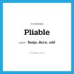 pliable แปลว่า?, คำศัพท์ภาษาอังกฤษ pliable แปลว่า ยืดหยุ่น, ดัดง่าย, งอได้ ประเภท ADJ หมวด ADJ