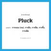 pluck แปลว่า?, คำศัพท์ภาษาอังกฤษ pluck แปลว่า การถอน (ขน), การดึง, การยึด, การทึ้ง, การเด็ด ประเภท N หมวด N