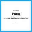 plum แปลว่า?, คำศัพท์ภาษาอังกฤษ plum แปลว่า ดีเลิศ (คำไม่เป็นทางการ), ซึ่งมีประโยชน์ ประเภท ADJ หมวด ADJ