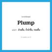 plump แปลว่า?, คำศัพท์ภาษาอังกฤษ plump แปลว่า อ้วนขึ้น, จ้ำม่ำขึ้น, กลมขึ้น ประเภท VI หมวด VI