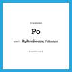 PO แปลว่า?, คำศัพท์ภาษาอังกฤษ Po แปลว่า สัญลักษณ์ของธาตุ Polonium ประเภท N หมวด N