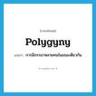 polygyny แปลว่า?, คำศัพท์ภาษาอังกฤษ polygyny แปลว่า การมีภรรยาหลายคนในขณะเดียวกัน ประเภท N หมวด N