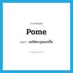 pome แปลว่า?, คำศัพท์ภาษาอังกฤษ pome แปลว่า ผลไม้ตระกูลแอปเปิ้ล ประเภท N หมวด N