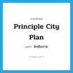 principle city plan แปลว่า?, คำศัพท์ภาษาอังกฤษ principle city plan แปลว่า ผังเมืองรวม ประเภท N หมวด N