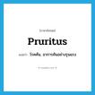 pruritus แปลว่า?, คำศัพท์ภาษาอังกฤษ pruritus แปลว่า โรคคัน, อาการคันอย่างรุนแรง ประเภท N หมวด N