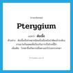 pterygium แปลว่า?, คำศัพท์ภาษาอังกฤษ pterygium แปลว่า ต้อเนื้อ ประเภท N ตัวอย่าง ต้อเนื้อเป็นโรคตาชนิดหนึ่งเมื่อหลังผ่าตัดแล้วจะต้องสวนแว่นกันแดดเพื่อป้องกันการเป็นโรคนี้อีก เพิ่มเติม โรคตาซึ่งเกิดจากเยื่อตางอกไปบนกระจกตา หมวด N