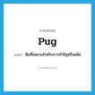 pug แปลว่า?, คำศัพท์ภาษาอังกฤษ pug แปลว่า ดินที่เหมาะสำหรับการทำอิฐหรือหม้อ ประเภท N หมวด N