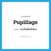 pupillage แปลว่า?, คำศัพท์ภาษาอังกฤษ pupillage แปลว่า ช่วงเป็นเด็กนักเรียน ประเภท N หมวด N