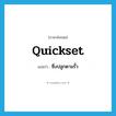 quickset แปลว่า?, คำศัพท์ภาษาอังกฤษ quickset แปลว่า ซึ่งปลูกตามรั้ว ประเภท ADJ หมวด ADJ