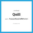 quill แปลว่า?, คำศัพท์ภาษาอังกฤษ quill แปลว่า ก้านขนนกหรือขนห่านที่ใช้ทำปากกา ประเภท N หมวด N