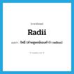 radii แปลว่า?, คำศัพท์ภาษาอังกฤษ radii แปลว่า รัศมี (คำพหูพจน์ของคำว่า radius) ประเภท N หมวด N