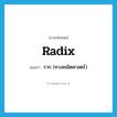 radix แปลว่า?, คำศัพท์ภาษาอังกฤษ radix แปลว่า ราก (ทางคณิตศาสตร์) ประเภท N หมวด N