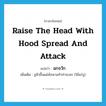 raise the head with hood spread and attack แปลว่า?, คำศัพท์ภาษาอังกฤษ raise the head with hood spread and attack แปลว่า ฉกจวัก ประเภท V เพิ่มเติม ชูหัวขึ้นแผ่พังพานทำท่าจะฉก (ใช้แก่งู) หมวด V