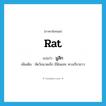 rat แปลว่า?, คำศัพท์ภาษาอังกฤษ rat แปลว่า มูสิก ประเภท N เพิ่มเติม สัตว์ขนาดเล็ก มีฟันแทะ หางเรียวยาว หมวด N