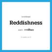 reddishness แปลว่า?, คำศัพท์ภาษาอังกฤษ reddishness แปลว่า การมีสีแดง ประเภท N หมวด N