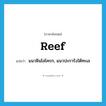 reef แปลว่า?, คำศัพท์ภาษาอังกฤษ reef แปลว่า แนวหินโสโครก, แนวปะการังใต้ทะเล ประเภท N หมวด N