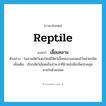 reptile แปลว่า?, คำศัพท์ภาษาอังกฤษ reptile แปลว่า เลื้อยคลาน ประเภท N ตัวอย่าง ในสวนสัตว์แห่งใหม่มีสัตว์เลื้อยคลานแสดงไว้หลายชนิด เพิ่มเติม เรียกสัตว์เลือดเย็นจำพวกที่ผิวหนังมีเกล็ดปกคลุม หายใจด้วยปอด หมวด N