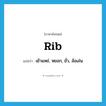 rib แปลว่า?, คำศัพท์ภาษาอังกฤษ rib แปลว่า เย้าแหย่, หยอก, ยั่ว, ล้อเล่น ประเภท VT หมวด VT