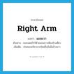 แขนขวา ภาษาอังกฤษ?, คำศัพท์ภาษาอังกฤษ แขนขวา แปลว่า right arm ประเภท N ตัวอย่าง เธอกอดเข้าไว้ด้วยแขนขวาเพียงข้างเดียว เพิ่มเติม ส่วนของอวัยวะจากไหล่ถึงข้อมือข้างขวา หมวด N