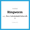 ringworm แปลว่า?, คำศัพท์ภาษาอังกฤษ ringworm แปลว่า ขี้กลาก, โรคผิวหนังชนิดหนึ่ง ซึ่งเกิดจากเชื้อรา ประเภท N หมวด N