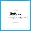 rotgut แปลว่า?, คำศัพท์ภาษาอังกฤษ rotgut แปลว่า เหล้าราคาถูกๆ, เหล้าวิสกี้คุณภาพต่ำ ประเภท N หมวด N