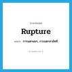 rupture แปลว่า?, คำศัพท์ภาษาอังกฤษ rupture แปลว่า การแตกแยก, การแตกสามัคคี ประเภท N หมวด N