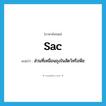 sac แปลว่า?, คำศัพท์ภาษาอังกฤษ sac แปลว่า ส่วนที่เหมือนถุงในสัตว์หรือพืช ประเภท N หมวด N