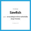 sawfish แปลว่า?, คำศัพท์ภาษาอังกฤษ sawfish แปลว่า ปลาขนาดใหญ่ขากรรไกรยาวคล้ายใบเลื่อยตระกูล Pristidae ประเภท N หมวด N