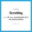 scrubby แปลว่า?, คำศัพท์ภาษาอังกฤษ scrubby แปลว่า เตี้ย, แคระ, ปกคลุมไปด้วยพุ่มไม้, เล็กกว่าปกติ, เต็มไปด้วยขนที่สั้นแข็ง ประเภท ADJ หมวด ADJ