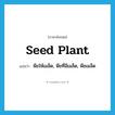 seed plant แปลว่า?, คำศัพท์ภาษาอังกฤษ seed plant แปลว่า พืชให้เมล็ด, พืชที่มีเมล็ด, พืชเมล็ด ประเภท N หมวด N