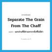 separate the grain from the chaff แปลว่า?, คำศัพท์ภาษาอังกฤษ separate the grain from the chaff แปลว่า แยกส่วนที่มีค่าออกจากสิ่งที่ไม่มีค่า ประเภท IDM หมวด IDM