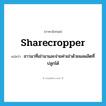 sharecropper แปลว่า?, คำศัพท์ภาษาอังกฤษ sharecropper แปลว่า ชาวนาที่เช่านาและจ่ายค่าเช่าด้วยผลผลิตที่ปลูกได้ ประเภท N หมวด N