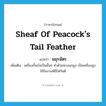 sheaf of peacock&#39;s tail feather แปลว่า?, คำศัพท์ภาษาอังกฤษ sheaf of peacock&#39;s tail feather แปลว่า มยุรฉัตร ประเภท N เพิ่มเติม เครื่องกั้นบังเป็นชั้นๆ ทำด้วยหางนกยูง เป็นเครื่องสูงใช้ในงานพิธีโสกันต์ หมวด N