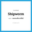 shipworm แปลว่า?, คำศัพท์ภาษาอังกฤษ shipworm แปลว่า หอยทะเลที่เจาะเนื้อไม้ ประเภท N หมวด N