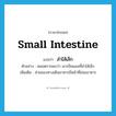 small intestine แปลว่า?, คำศัพท์ภาษาอังกฤษ small intestine แปลว่า ลำไส้เล็ก ประเภท N ตัวอย่าง หมอตรวจพบว่า เขาเป็นแผลที่ลำไส้เล็ก เพิ่มเติม ส่วนของทางเดินอาหารมีหน้าที่ย่อยอาหาร หมวด N