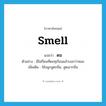 smell แปลว่า?, คำศัพท์ภาษาอังกฤษ smell แปลว่า ดม ประเภท V ตัวอย่าง มีไม่กี่คนที่ดมทุเรียนแล้วบอกว่าหอม เพิ่มเติม ใช้จมูกสูดกลิ่น, สูดเอากลิ่น หมวด V