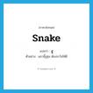 snake แปลว่า?, คำศัพท์ภาษาอังกฤษ snake แปลว่า งู ประเภท N ตัวอย่าง แถวนี้งูชุม ต้องระวังให้ดี หมวด N